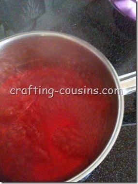 Dyeing with Koolaid (5)