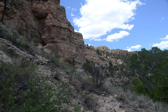 animal trail along the hill