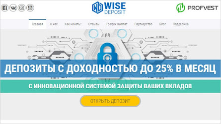 WiseDeposit: лидер портфеля! 218% чистой прибыли и более 250 дней стабильной работы!