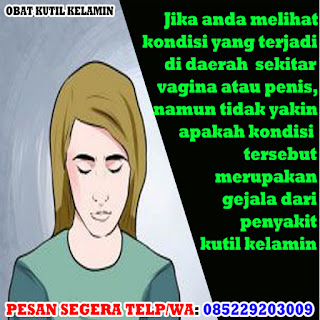 Obat Kutil Kelamin