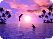 delfini