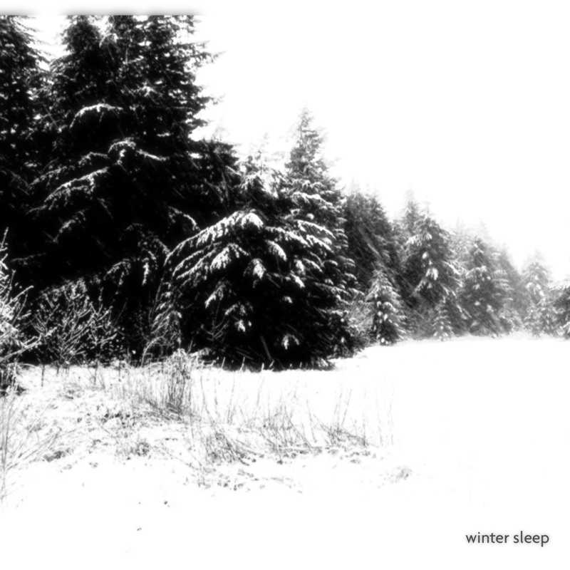 winter-sleep.jpg
