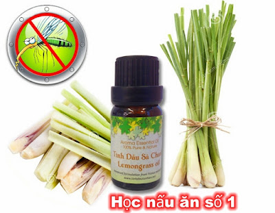 Cách đuổi rết bằng tinh dầu chanh sả ớt