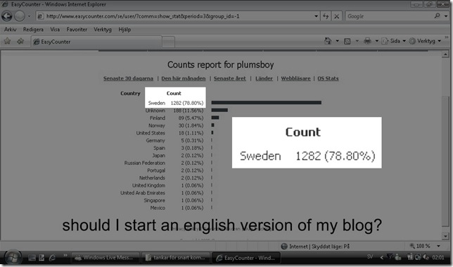 borde jag blogga på engelska