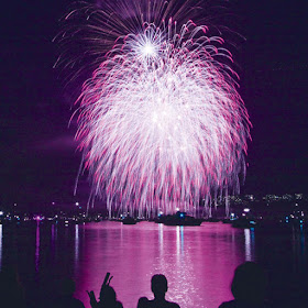 Purple fireworks display 