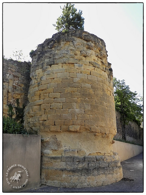 SAINT-ROMAN-DE-MALEGARDE (84) - L'ancien château-fort des Templiers