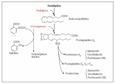 tabla mecanismo de actuación ácido acetilsalicílico