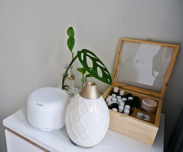 diffuser murah vs diffuser young living mahal