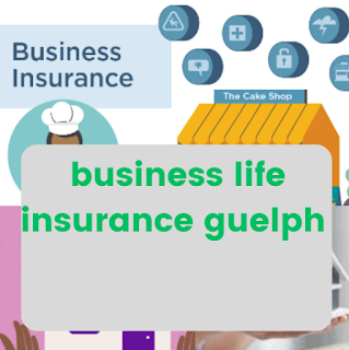 business life insurance guelph