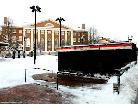 Parada del Metro de Harvard Square Cerrada durante Nemo