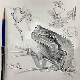 03-Frogs-Tutorial-Drawings-gidicrazy91-www-designstack-co