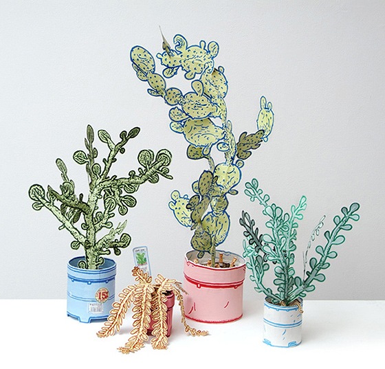 plants