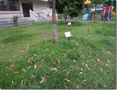 clip_image002