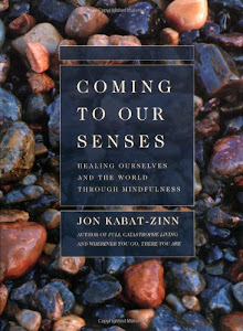 Coming to Our Senses: Healing Ourselves and the World Through Mindfulness