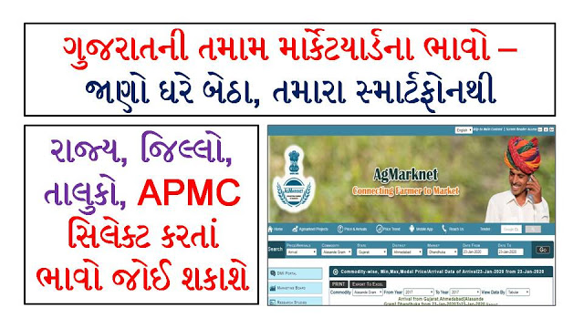 APMC BHAV | APMC LATEST NEWS | Daily Market Report All APMC - Agriculture Marketing