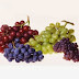 Calories In Grapes & 9 Important Nutrition Facts You Should Know