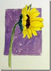 day 27