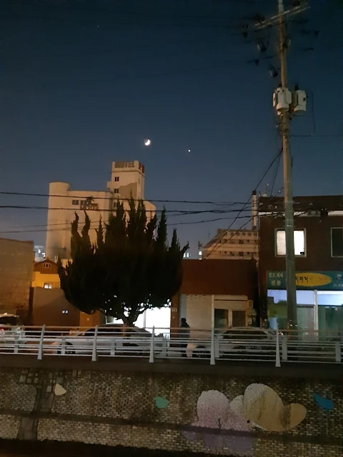 마산 합포동  밤거리