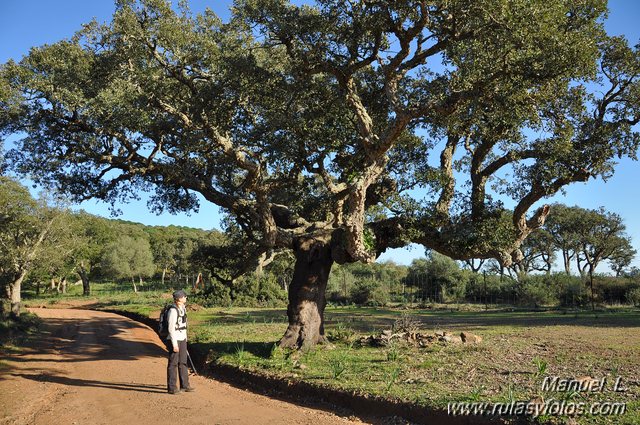 Finca Murta