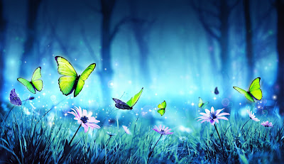 The Butterfly