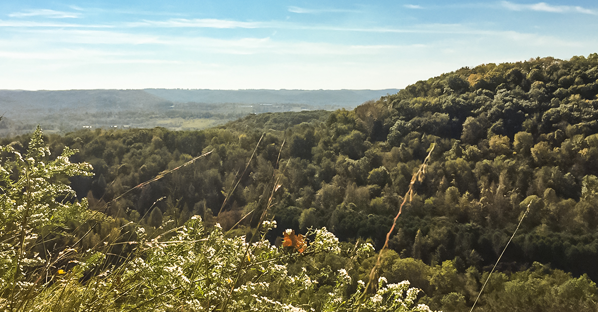 Kickapoo River Valley from Hanson Rock