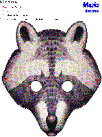 maskraccoon