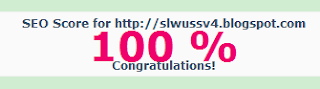 skor seo sl wuss v4 100%
