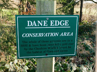 Dane Edge