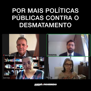 ANDRÉ FIGUEIREDO - POR MAIS POLÍTICAS PÚBLICAS CONTRA O DESMATAMENTO