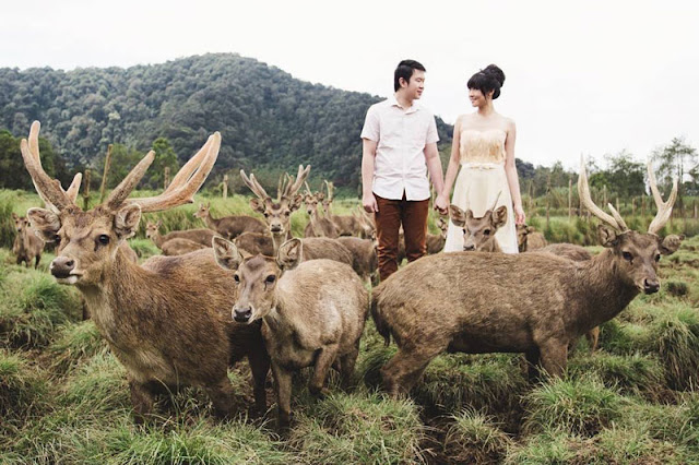 deerpark-prewedding bandung