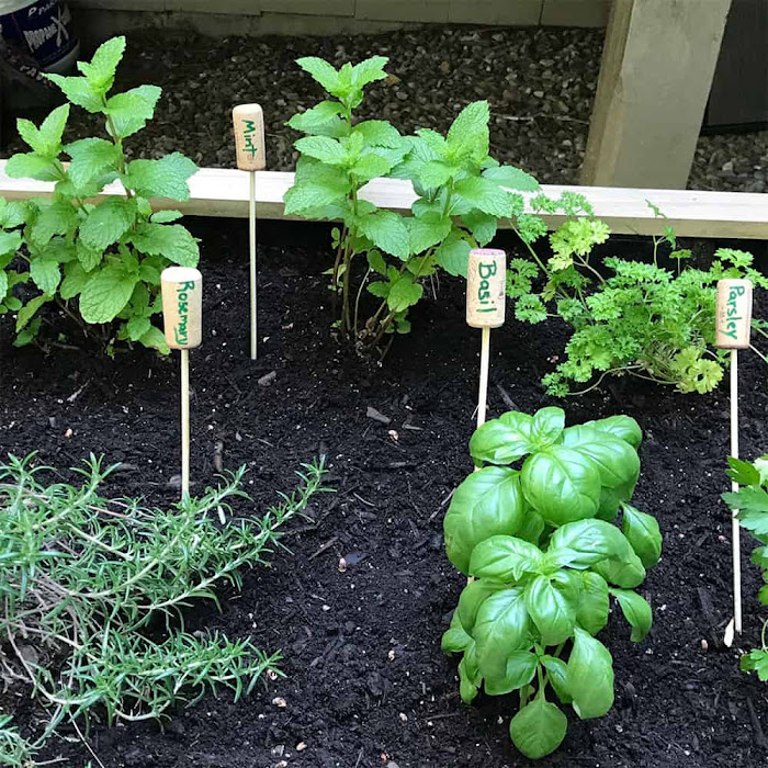 wine cork garden markers