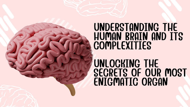 Understanding the Human Brain and Its Complexities, Unlocking the Secrets of Our Most Enigmatic Organ
