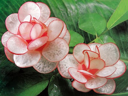 лесен карвинг - цвете от репичка
