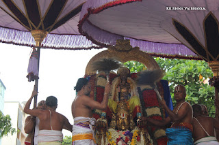 Aani,Garuda Sevai,Gopura Dharisanam ,Yesal Purappadu , Vahanam,Sri Theliya Singar, Yoga Narasimhar,Brahmotsavam ,Purappadu,Video, Divya Prabhandam,Sri Parthasarathy Perumal, Triplicane,Thiruvallikeni,Utsavam,