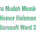 Cara Mudah Membuat Nomor Halaman di Microsoft Word 2007