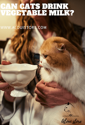Can cats drink vegetable milk?