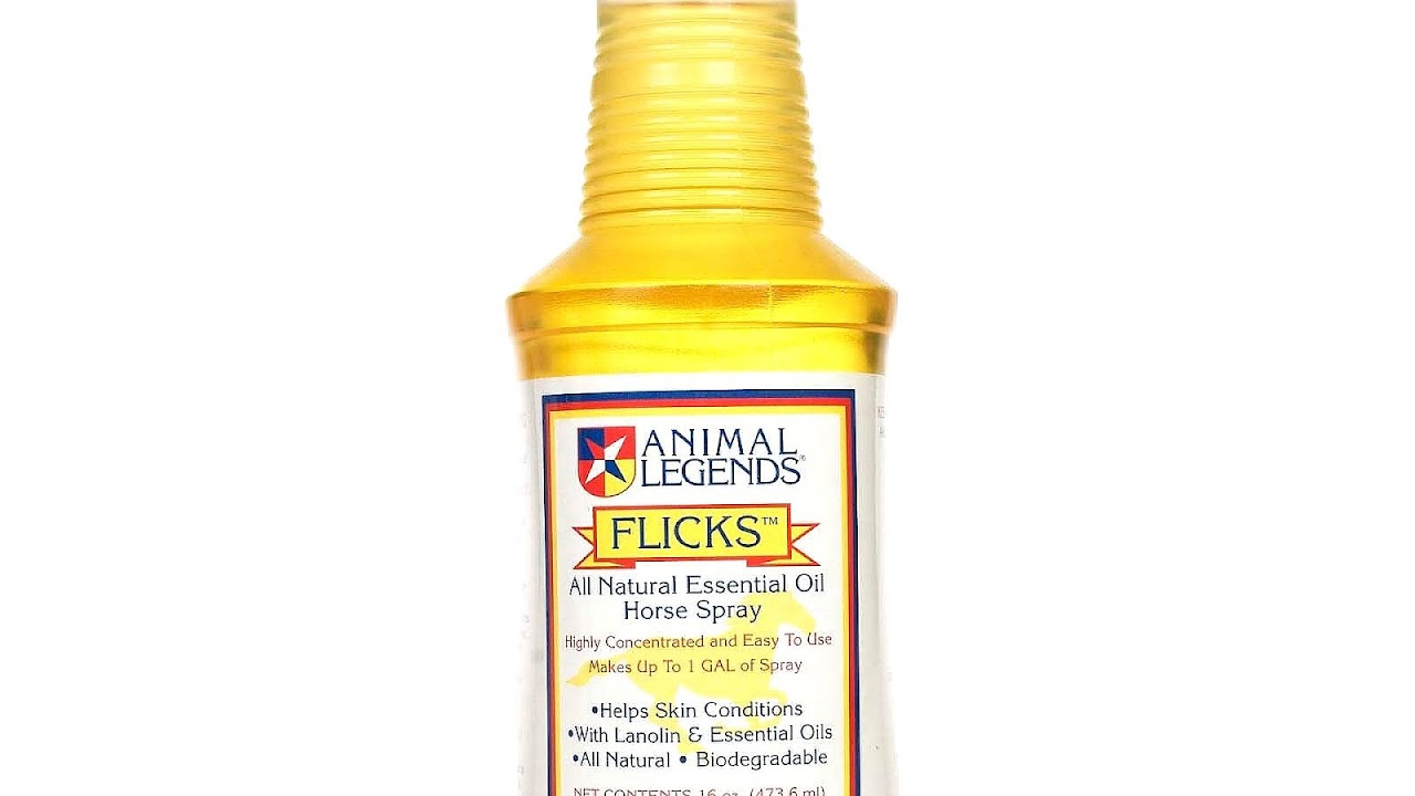 Natural Fly Repellent For Horses