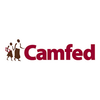 Job Opportunity at Camfed, Finance Manager