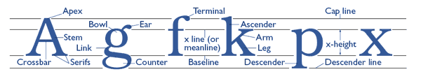 TYPEFACE ANATOMY TERMINOLOGY