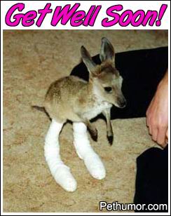 Funny Get Well Soon pictures