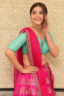 Actress Mehrene Kaur Pirzada Pics At Aswathama Pre Release 