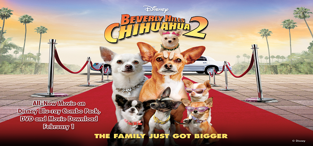 Watch Beverly Hills Chihuahua 2 (2011) Online For Free Full Movie English Stream