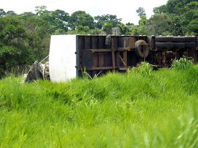 Acidcentes na BR-153 em Goiás - Um Asno