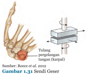 Gambar 1.31 Sendi geser