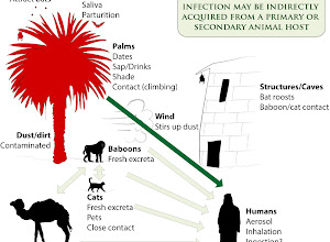 Corona Virus Animal Host