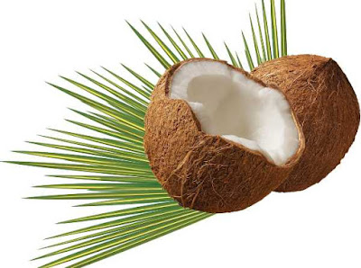 Coconut meat