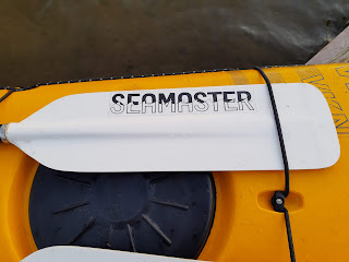 Lendal Seamaster paddle