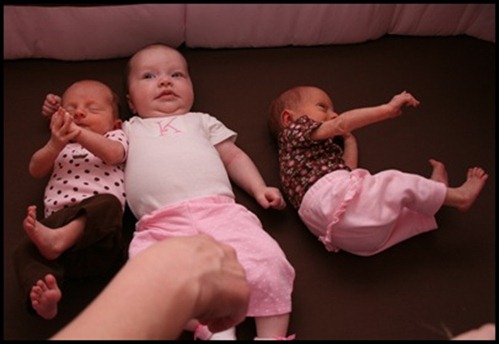 IMG_0613_thumb[15]