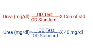 urea test