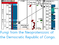 https://sciencythoughts.blogspot.com/2020/04/fungi-from-neoproterozoic-of-democratic.html